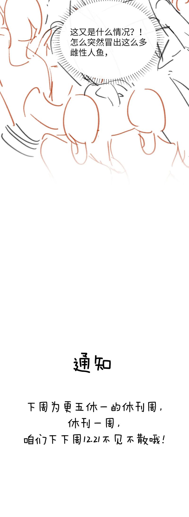 Desharow Nhân Ngư Chapter 32 - Trang 4