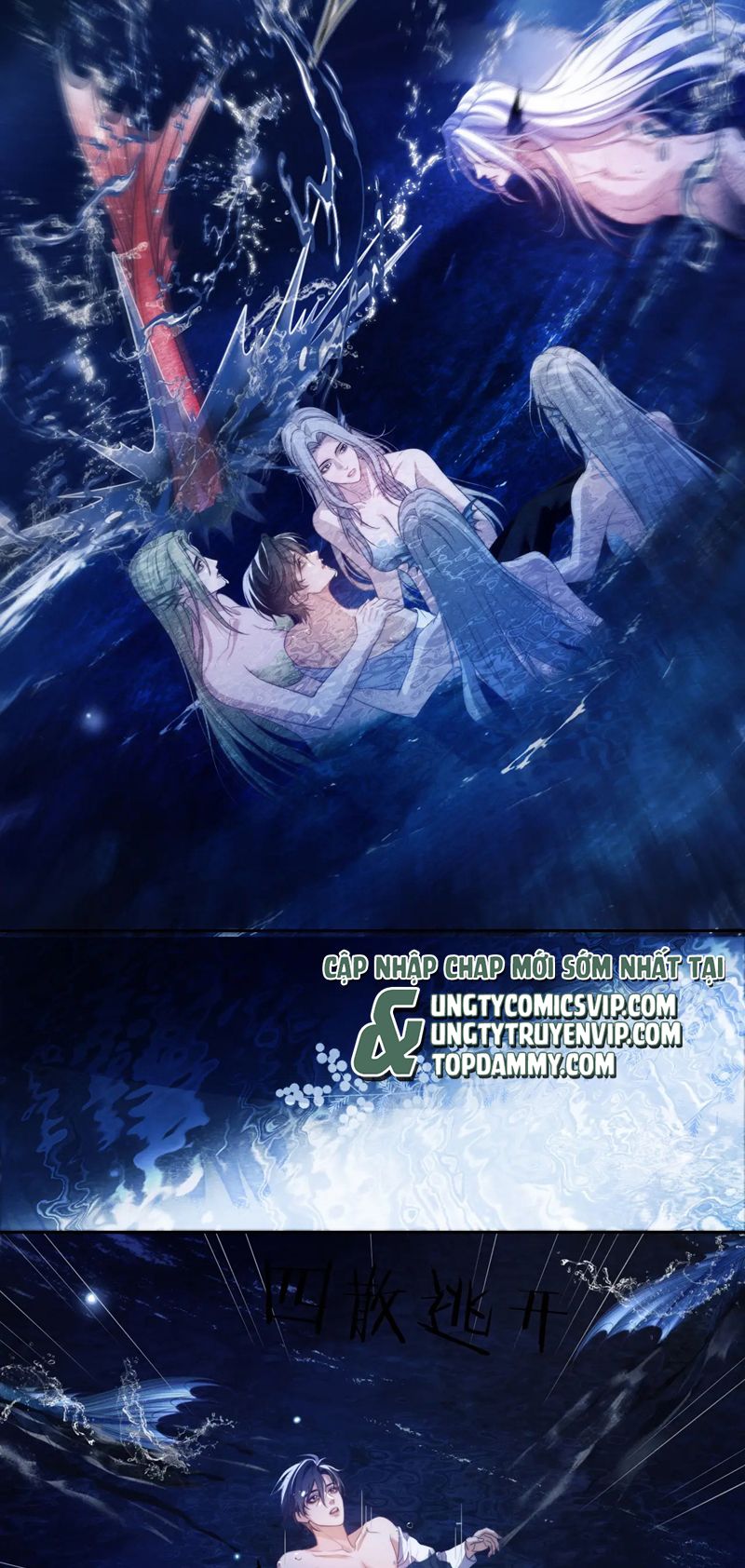 Desharow Nhân Ngư Chapter 33 - Trang 4