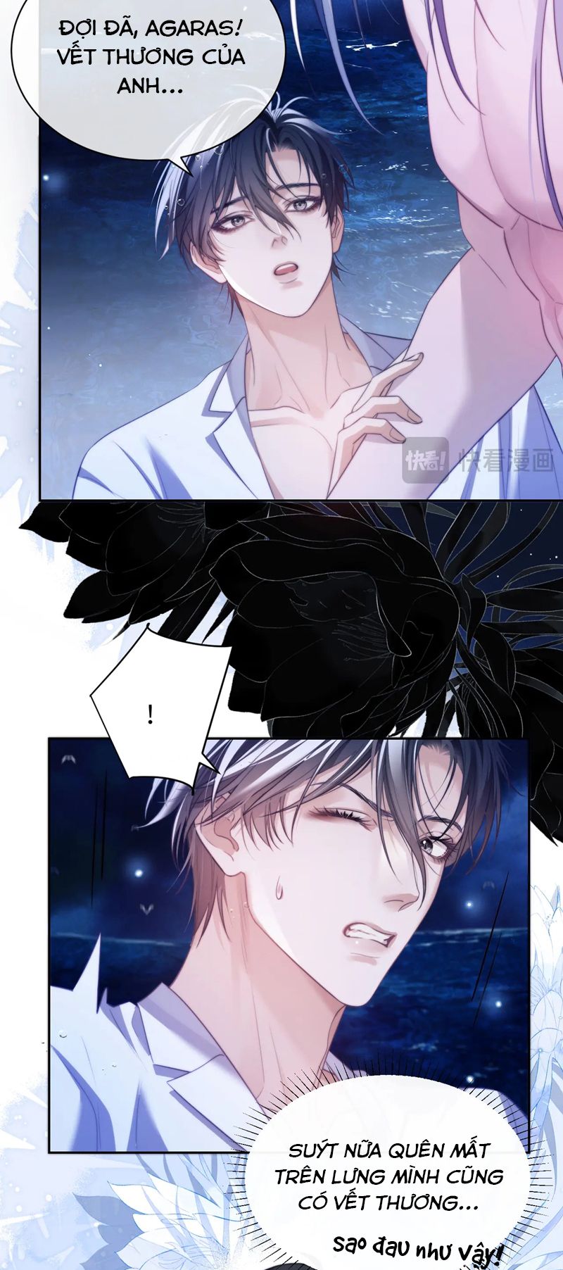 Desharow Nhân Ngư Chapter 34 - Trang 4