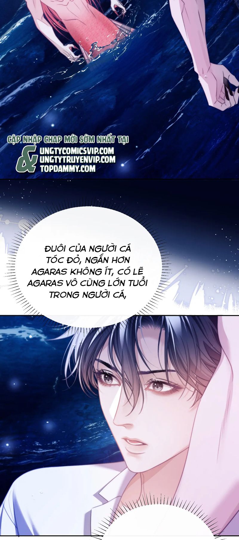 Desharow Nhân Ngư Chapter 34 - Trang 4