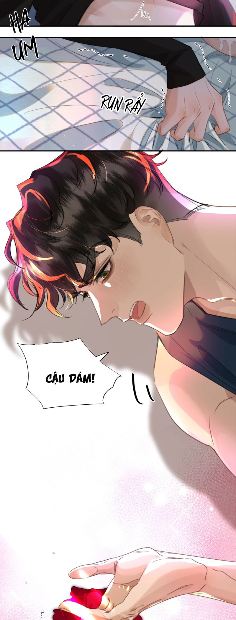 Trung Khuyển Không Thể Đẩy Ra Chapter 33 - Trang 4