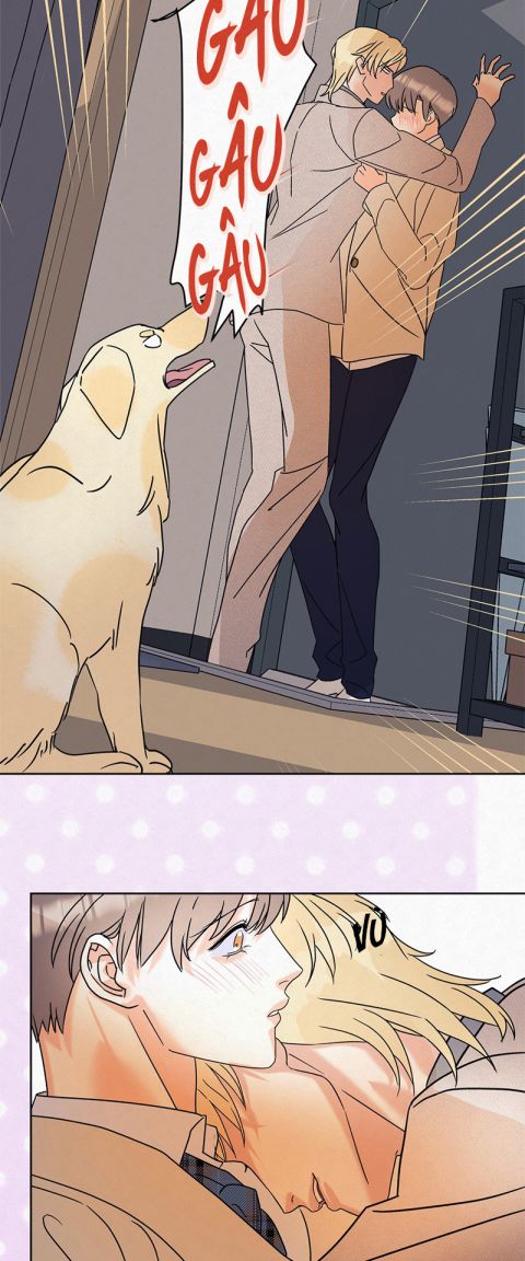 Anh Trai Tiện Lợi Của Tôi Chap 9 - Next Chap 10