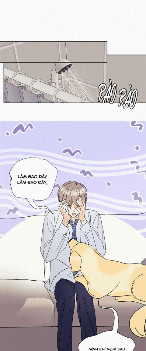 Anh Trai Tiện Lợi Của Tôi Chap 9 - Next Chap 10