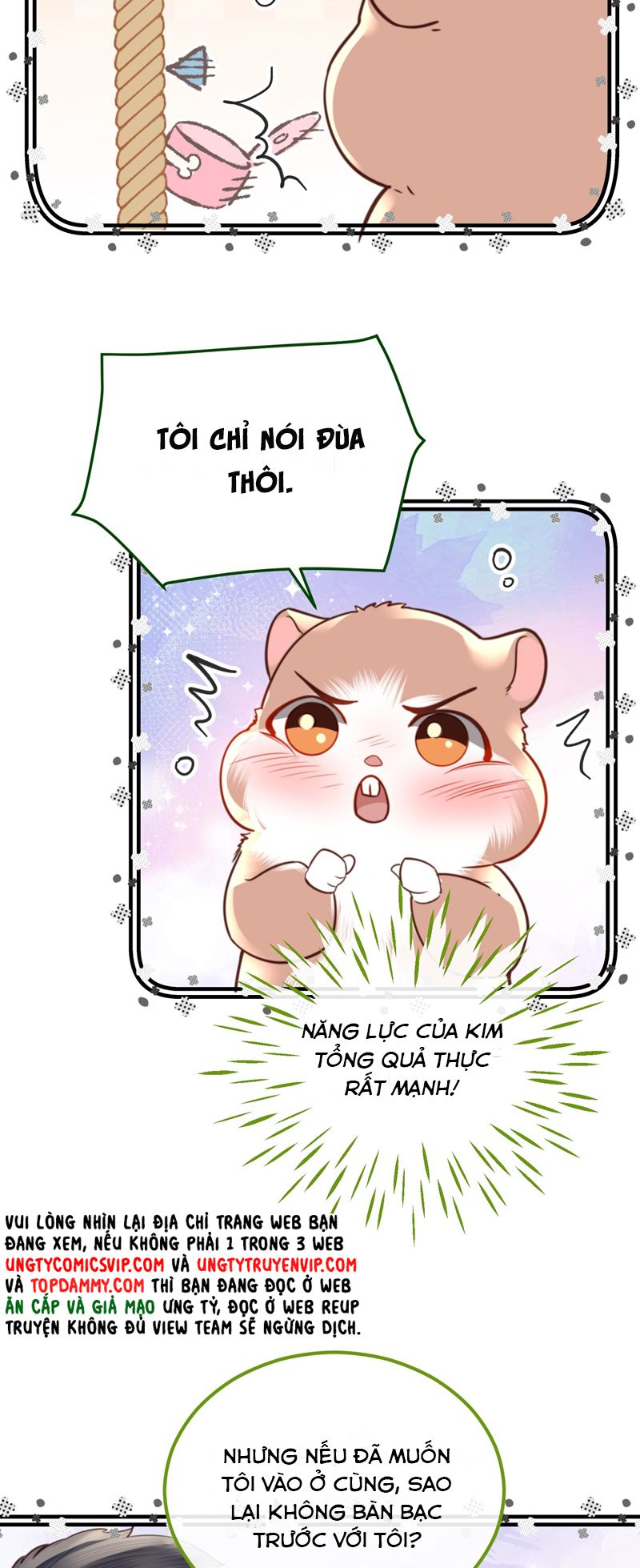 Tổng Tài Định Chế Tư Nhân Chapter 81 - Trang 4