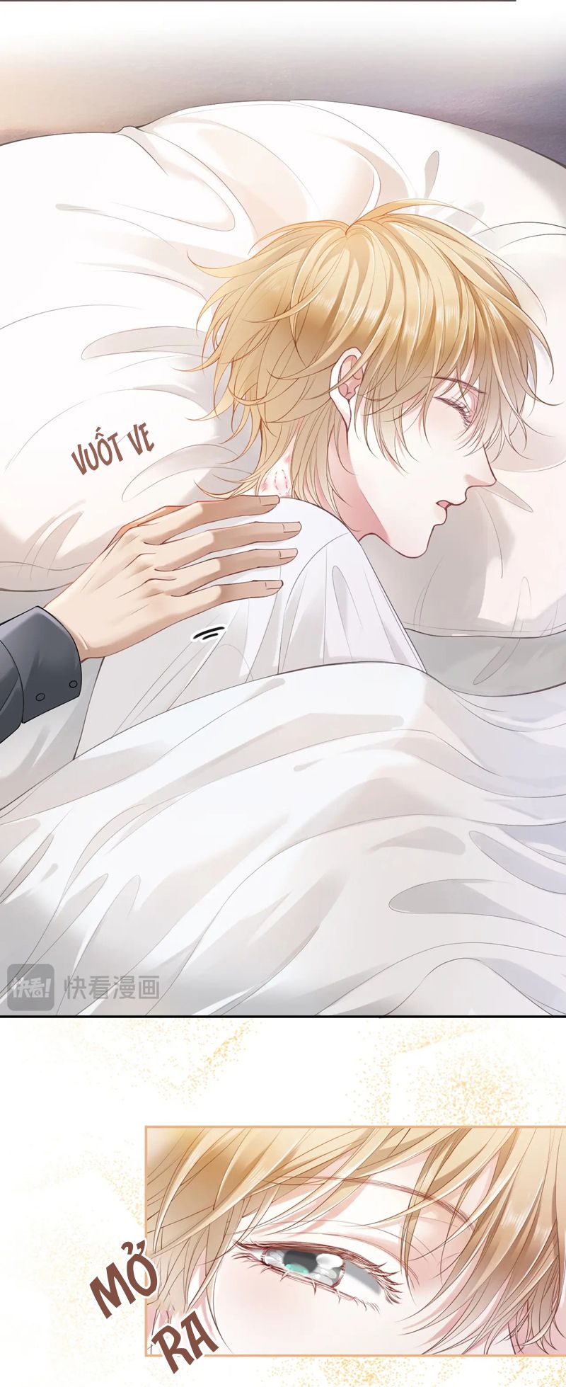 Tiểu Thiếu Gia Dựa Vào Mỹ Mạo Hoành Hành Toàn Hệ Thống Chapter 12 - Trang 4