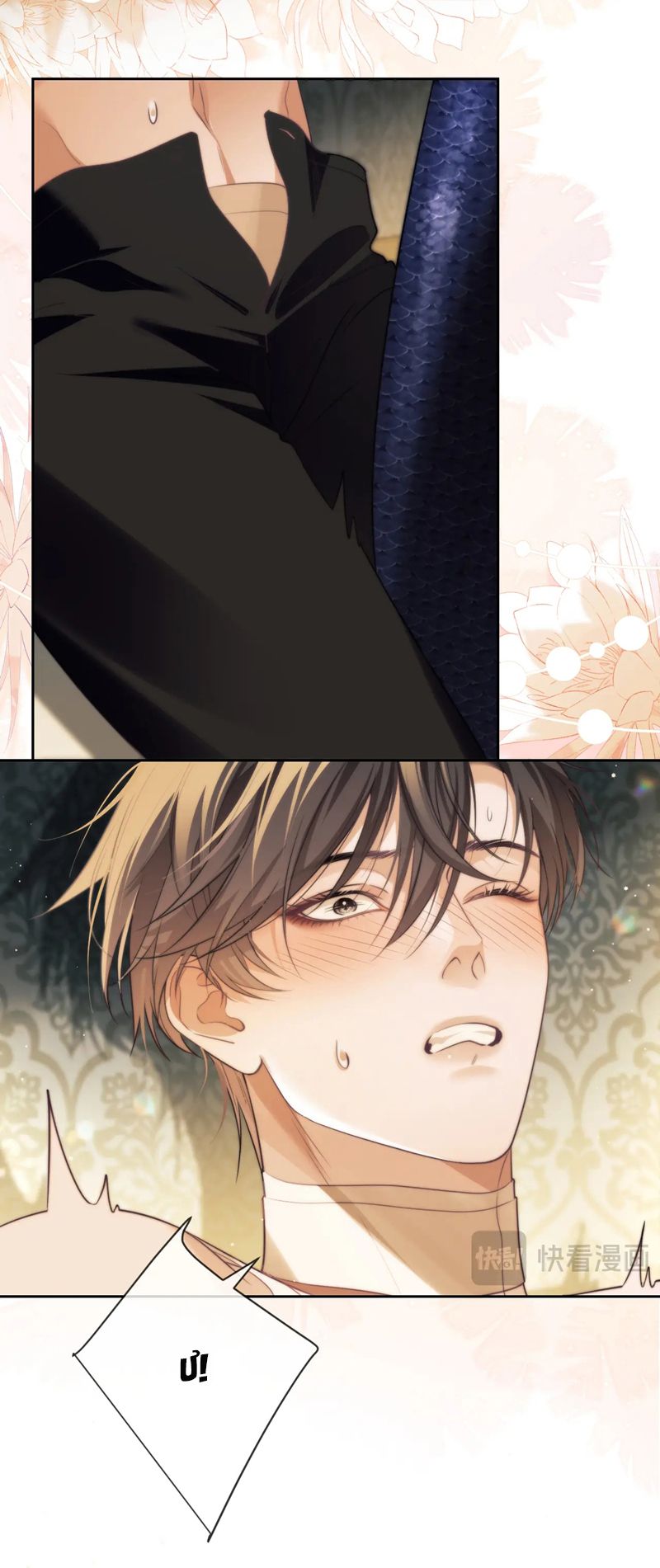 Desharow Nhân Ngư Chapter 36 - Trang 4