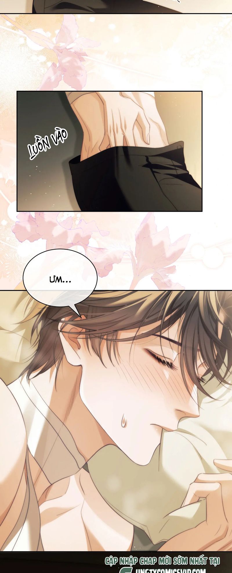 Desharow Nhân Ngư Chapter 36 - Trang 4