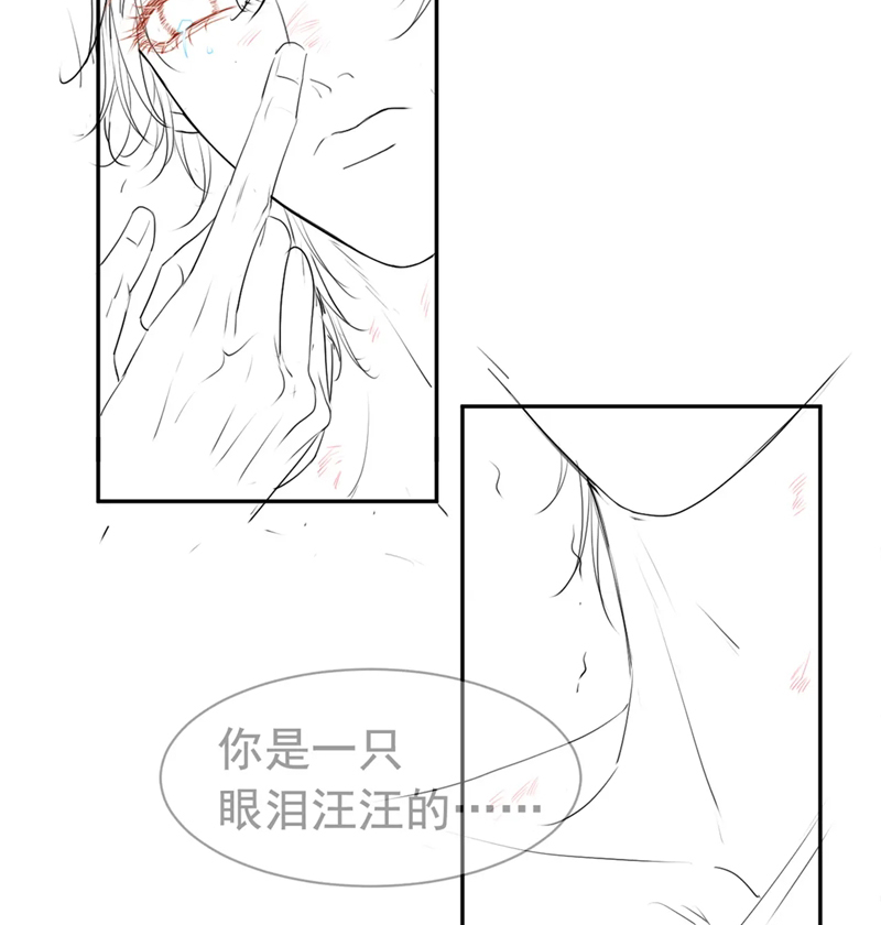 Tiểu Thiếu Gia Dựa Vào Mỹ Mạo Hoành Hành Toàn Hệ Thống Chapter 13 - Trang 4