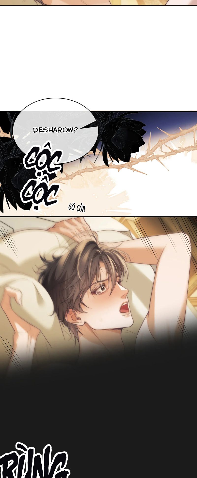 Desharow Nhân Ngư Chapter 37 - Trang 4