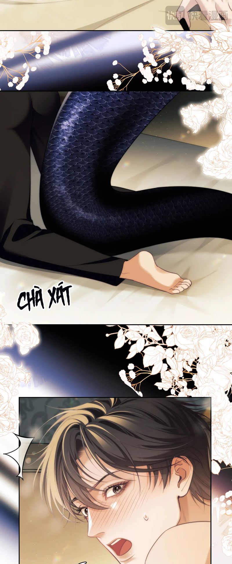 Desharow Nhân Ngư Chapter 37 - Trang 4