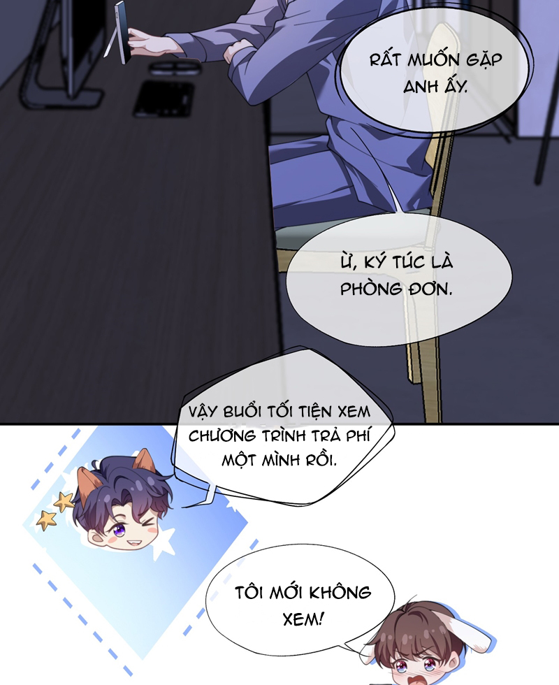 Gài Bẫy Ác Khuyển Chapter 27 - Trang 4