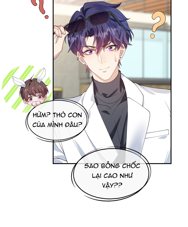 Gài Bẫy Ác Khuyển Chapter 27 - Trang 4