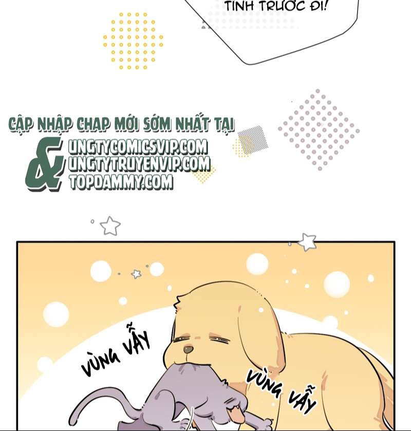 Chó Lớn Bắt Nạt Chủ Chapter 75 - Next Chapter 76