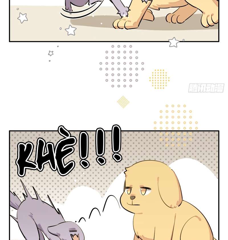 Chó Lớn Bắt Nạt Chủ Chapter 75 - Next Chapter 76