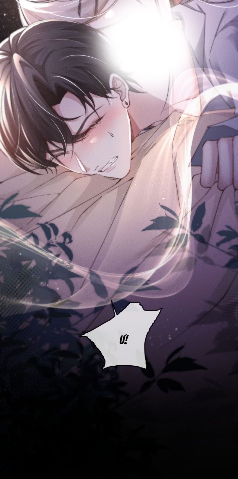 Kế Hoạch Tự Dưỡng Cuồng Khuyển Chapter 6 - Next Chap 6