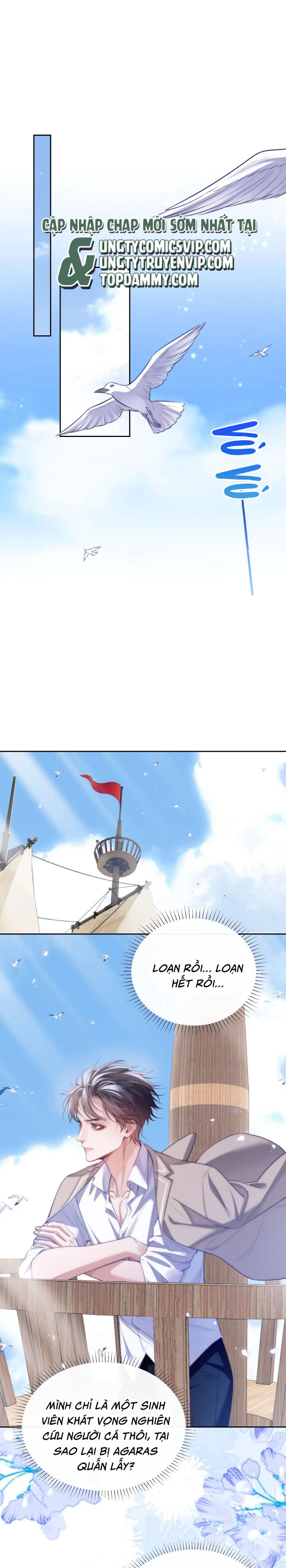 Desharow Nhân Ngư Chapter 39 - Trang 4