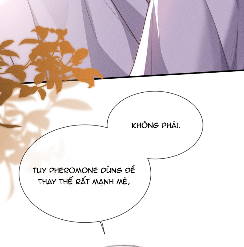 Kế Hoạch Tự Dưỡng Cuồng Khuyển Chap 8 - Next Chapter 8