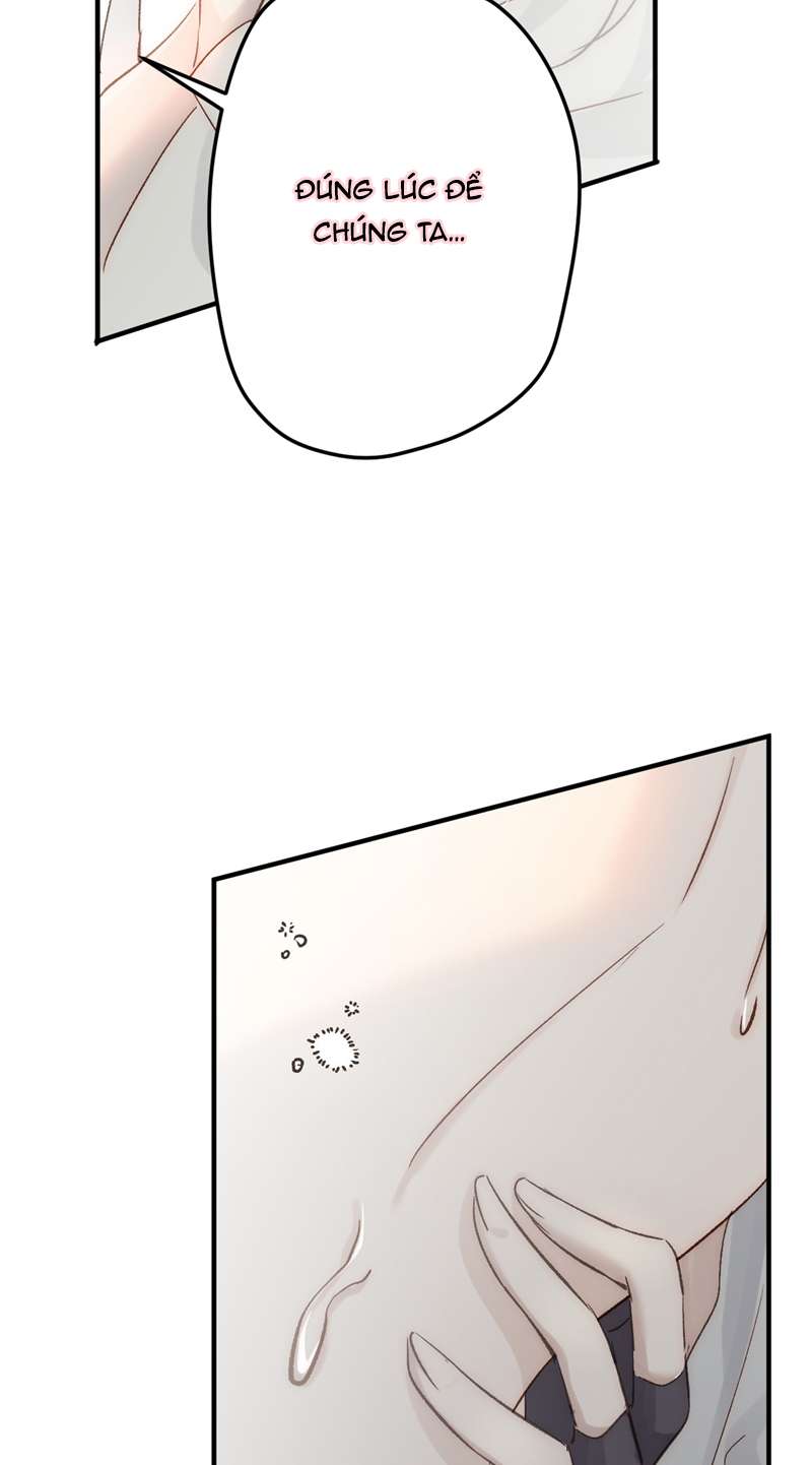 Chuyển Nghịch Âm Dương Chapter 5 - Trang 4