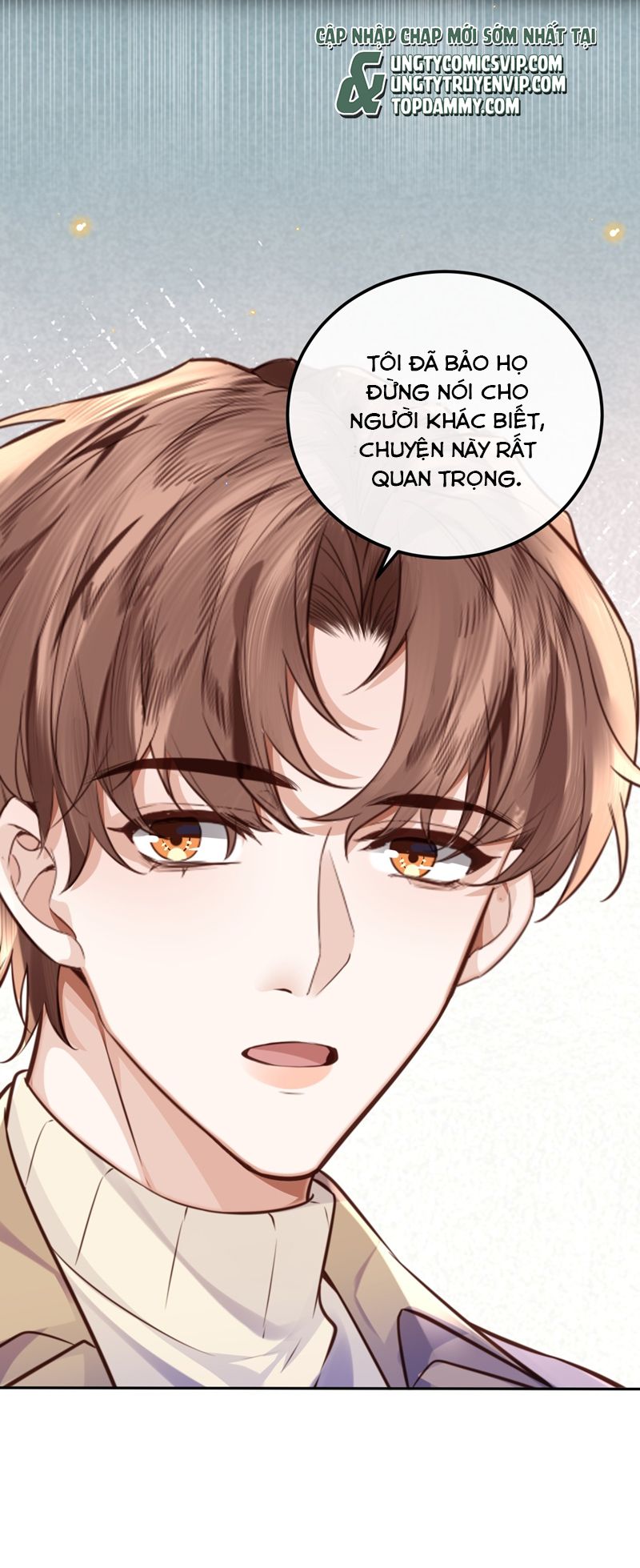 Tổng Tài Định Chế Tư Nhân Chapter 88 - Trang 4