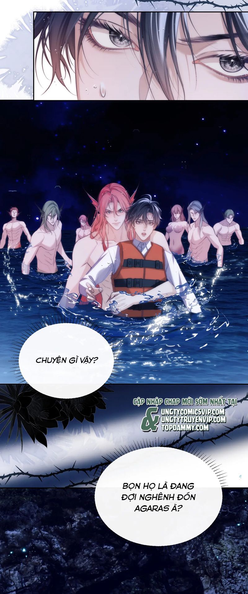 Desharow Nhân Ngư Chapter 41 - Trang 4