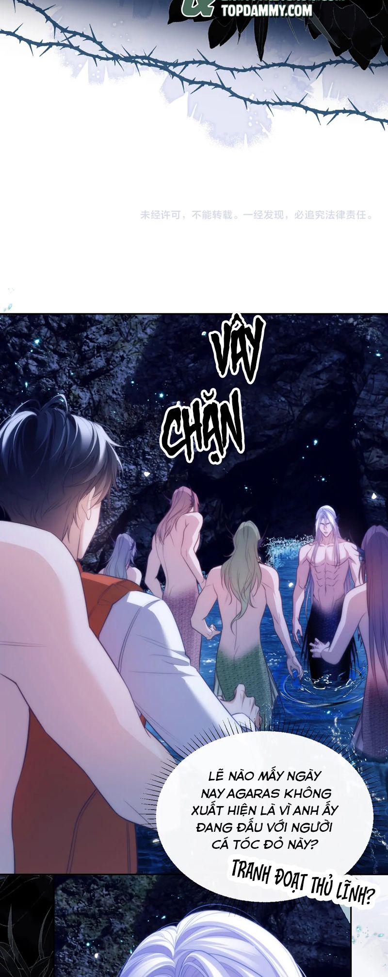 Desharow Nhân Ngư Chapter 41 - Trang 4