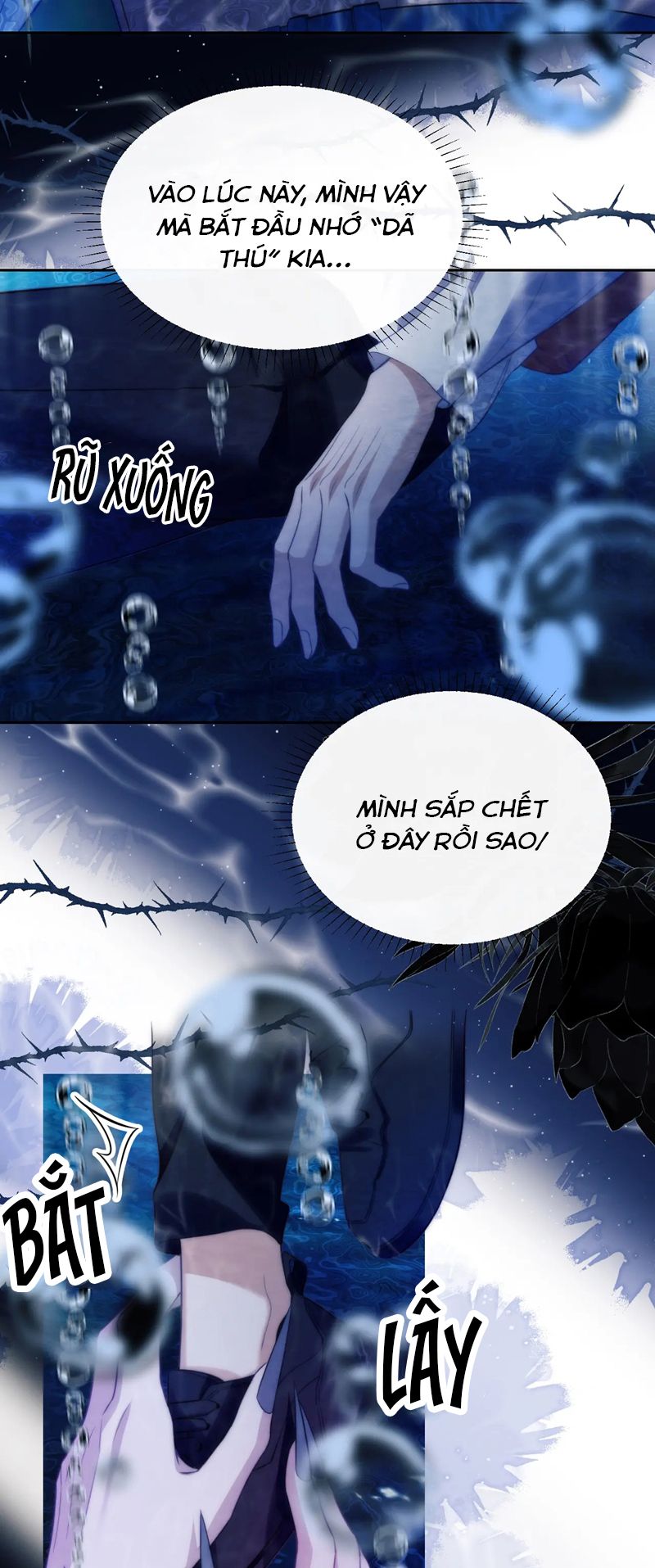 Desharow Nhân Ngư Chapter 41 - Trang 4