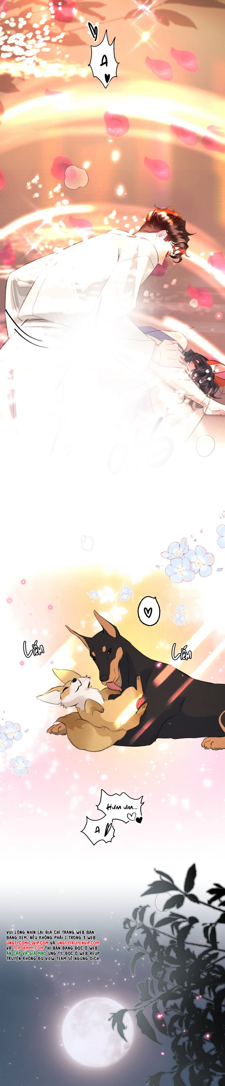 Trung Khuyển Không Thể Đẩy Ra Chapter 40 - Trang 4