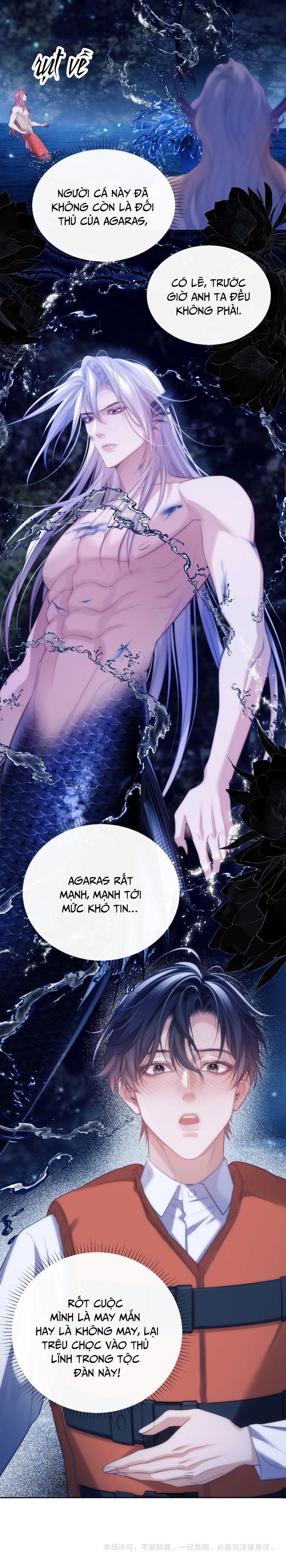 Desharow Nhân Ngư Chapter 42 - Trang 4