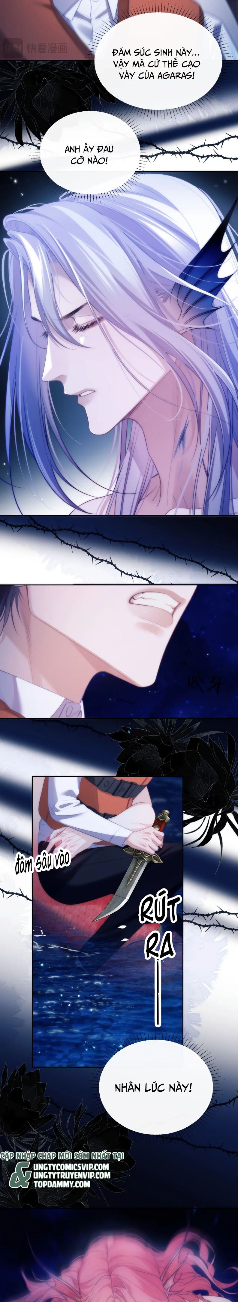 Desharow Nhân Ngư Chapter 42 - Trang 4