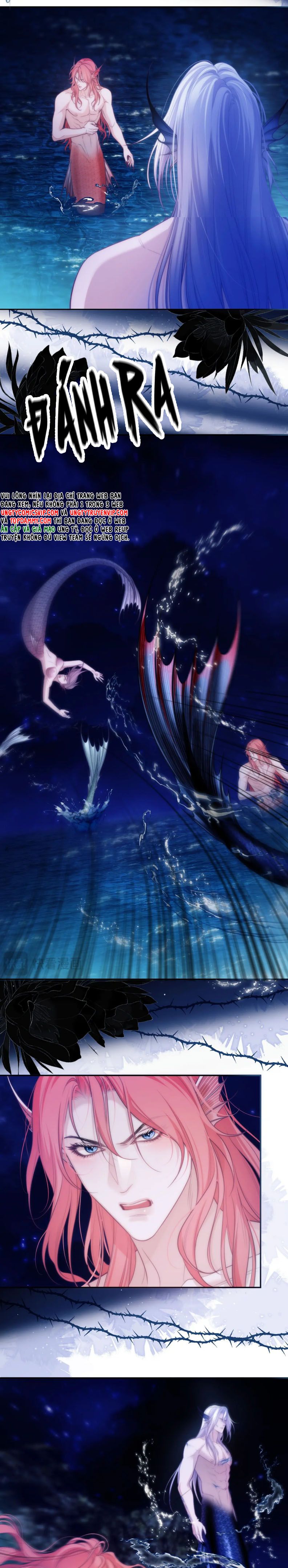 Desharow Nhân Ngư Chapter 42 - Trang 4