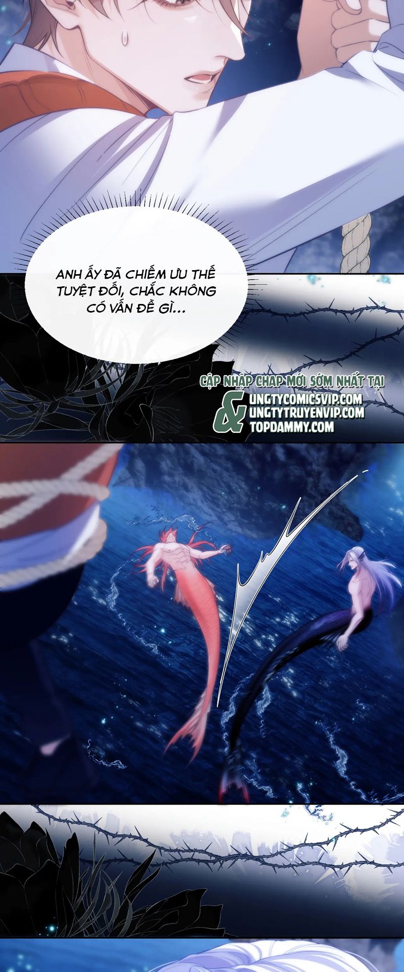 Desharow Nhân Ngư Chapter 43 - Trang 4