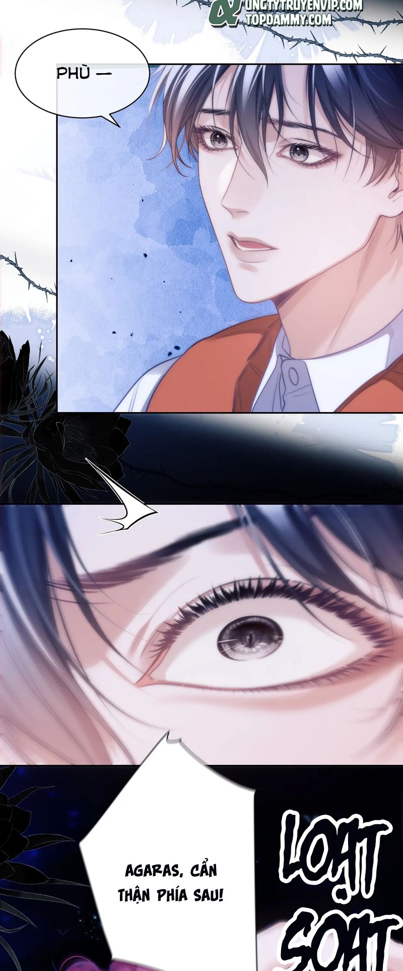 Desharow Nhân Ngư Chapter 43 - Trang 4