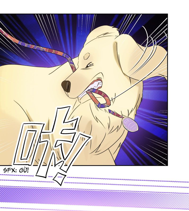 Anh Trai Tiện Lợi Của Tôi Chap 22 - Trang 3