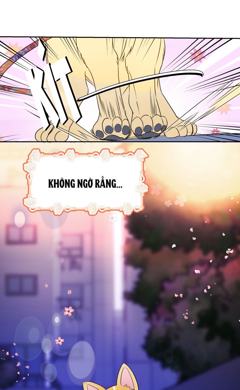 Anh Trai Tiện Lợi Của Tôi Chap 22 - Trang 3