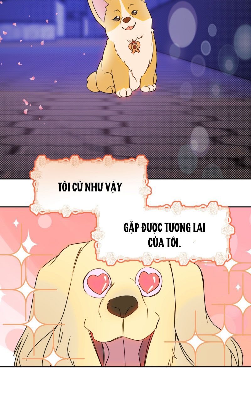 Anh Trai Tiện Lợi Của Tôi Chap 22 - Trang 3