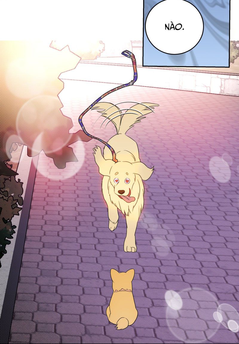 Anh Trai Tiện Lợi Của Tôi Chap 22 - Trang 3