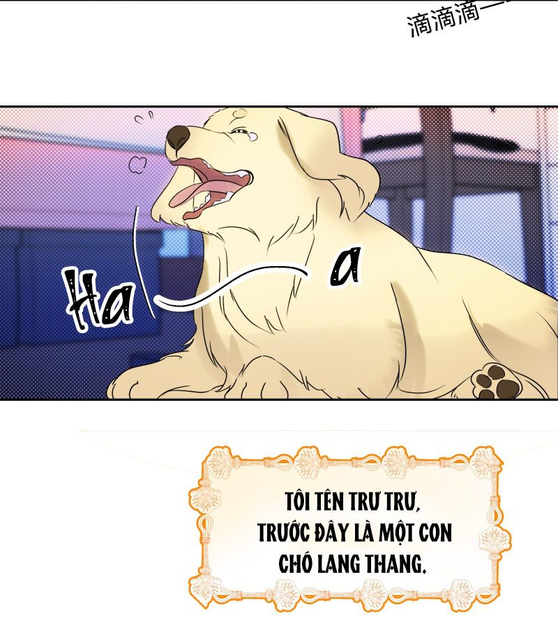 Anh Trai Tiện Lợi Của Tôi Chap 22 - Trang 3