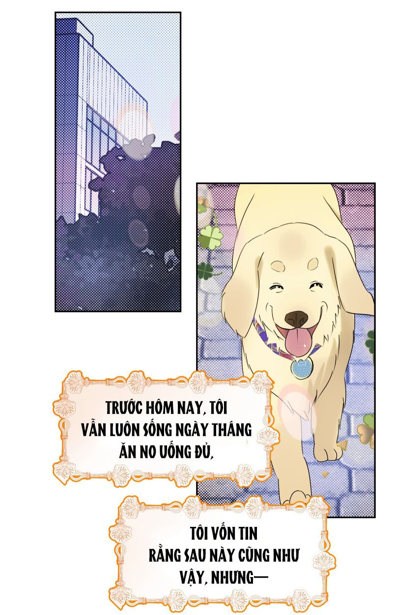 Anh Trai Tiện Lợi Của Tôi Chap 22 - Trang 3