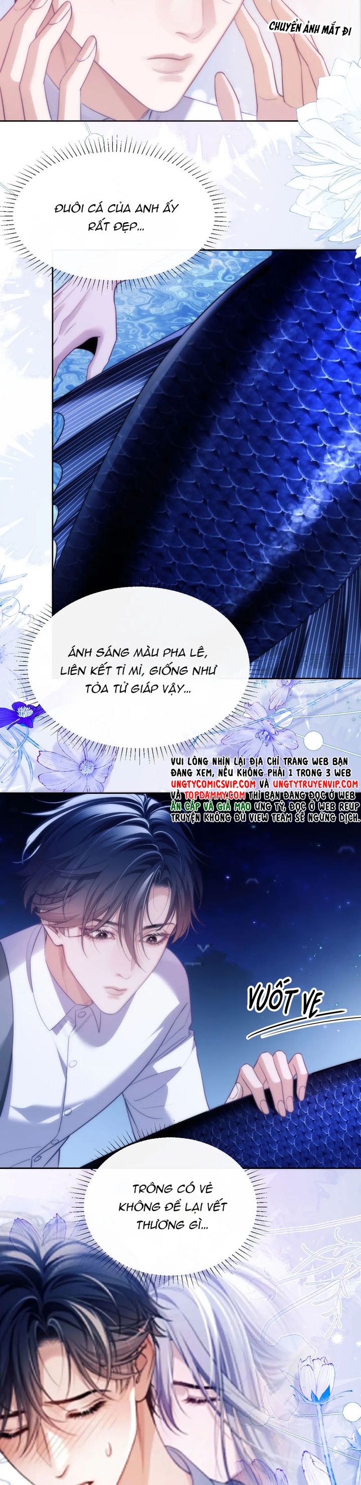 Desharow Nhân Ngư Chapter 44 - Trang 4