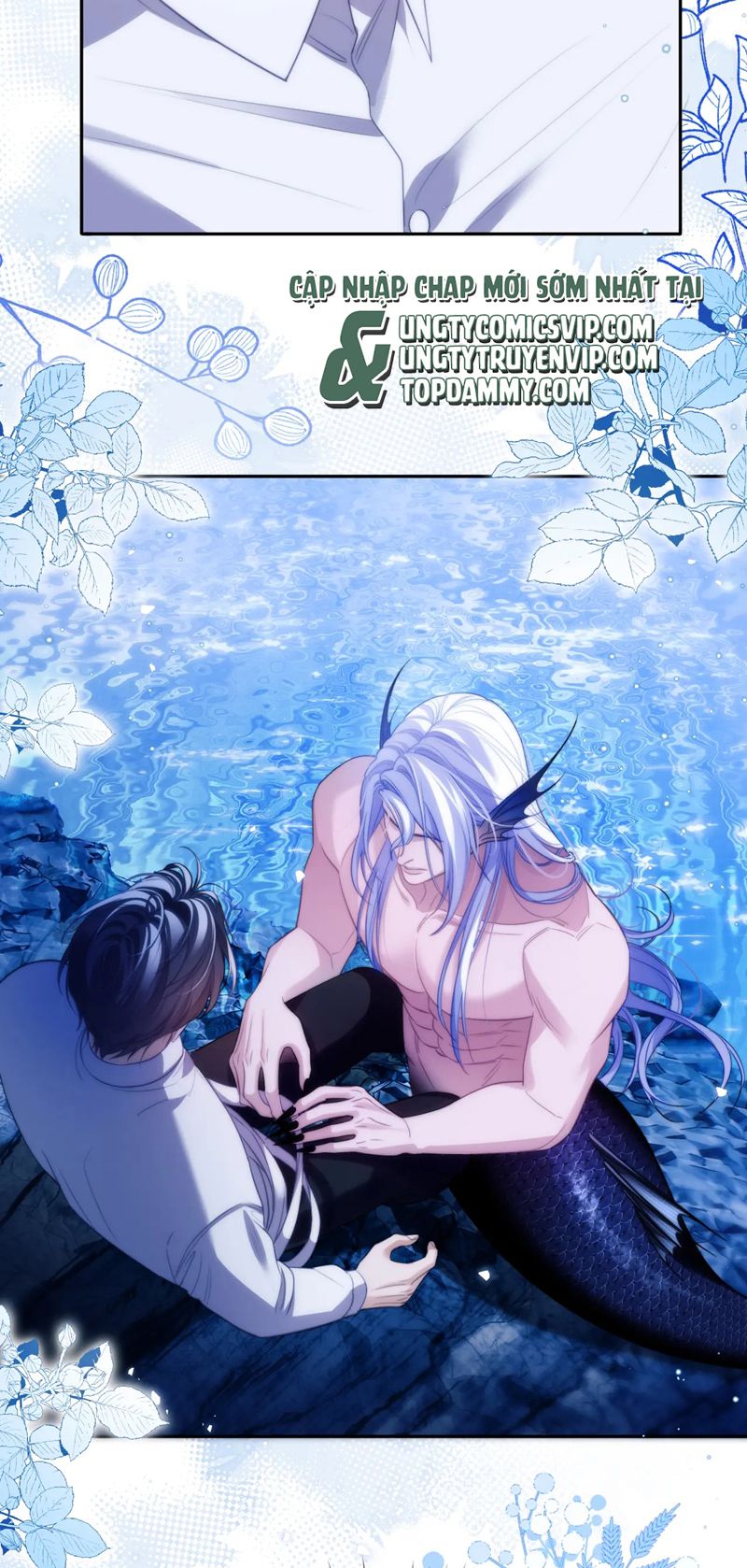 Desharow Nhân Ngư Chapter 45 - Trang 4