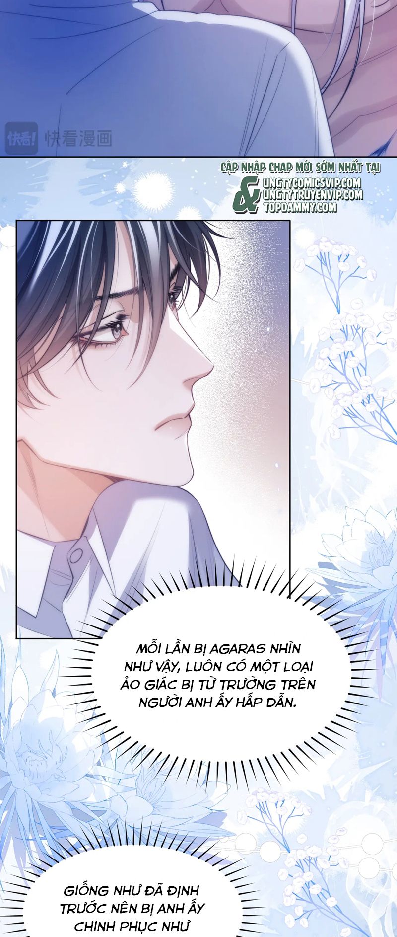 Desharow Nhân Ngư Chapter 45 - Trang 4