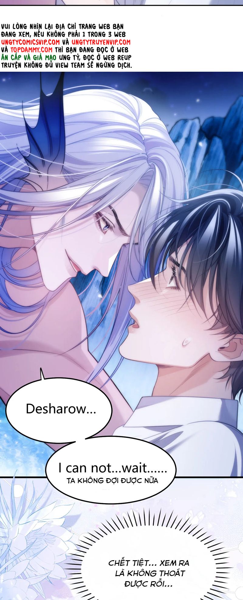 Desharow Nhân Ngư Chapter 47 - Trang 4