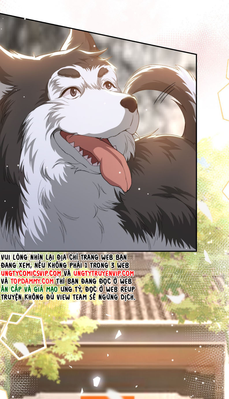 Quan Hệ Thế Thân Chapter 146 - Next Chapter 147