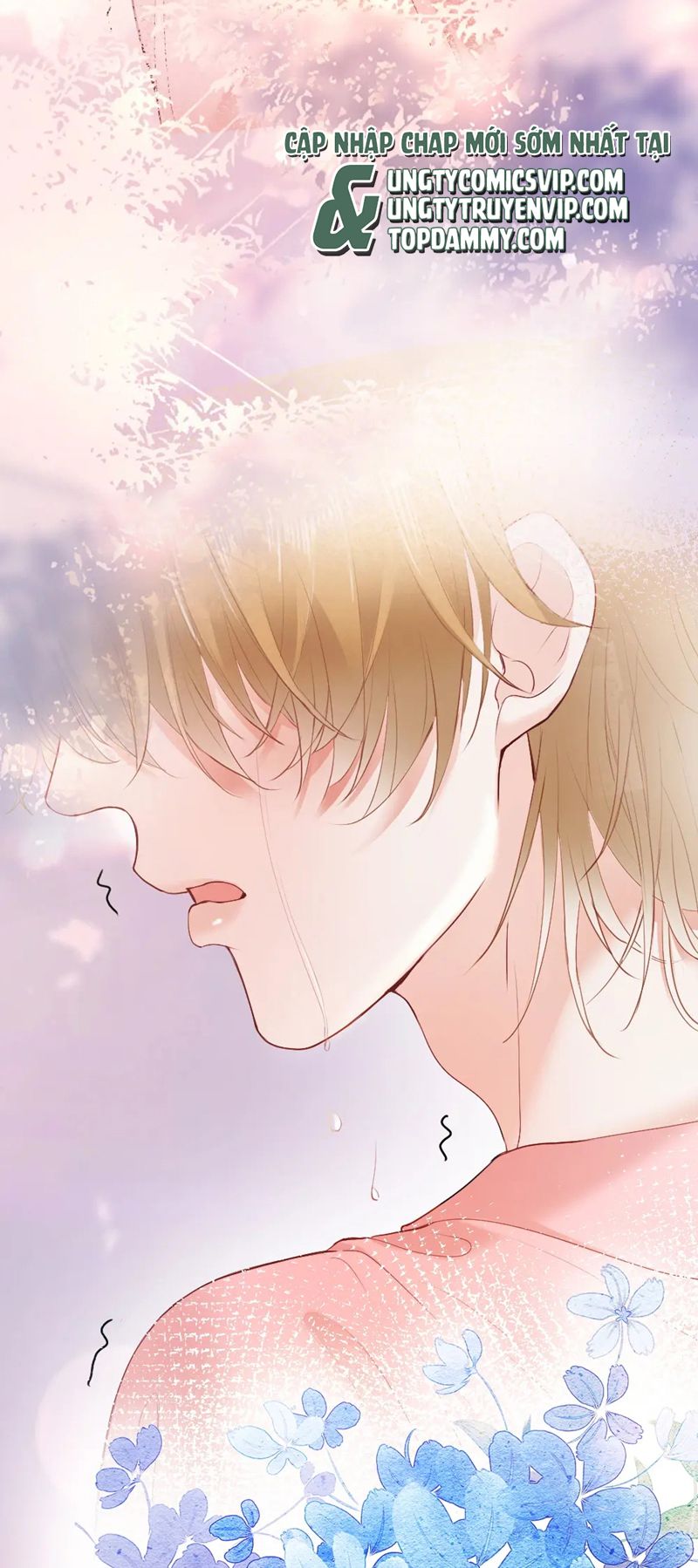 Tiểu Thiếu Gia Dựa Vào Mỹ Mạo Hoành Hành Toàn Hệ Thống Chapter 26 - Trang 4