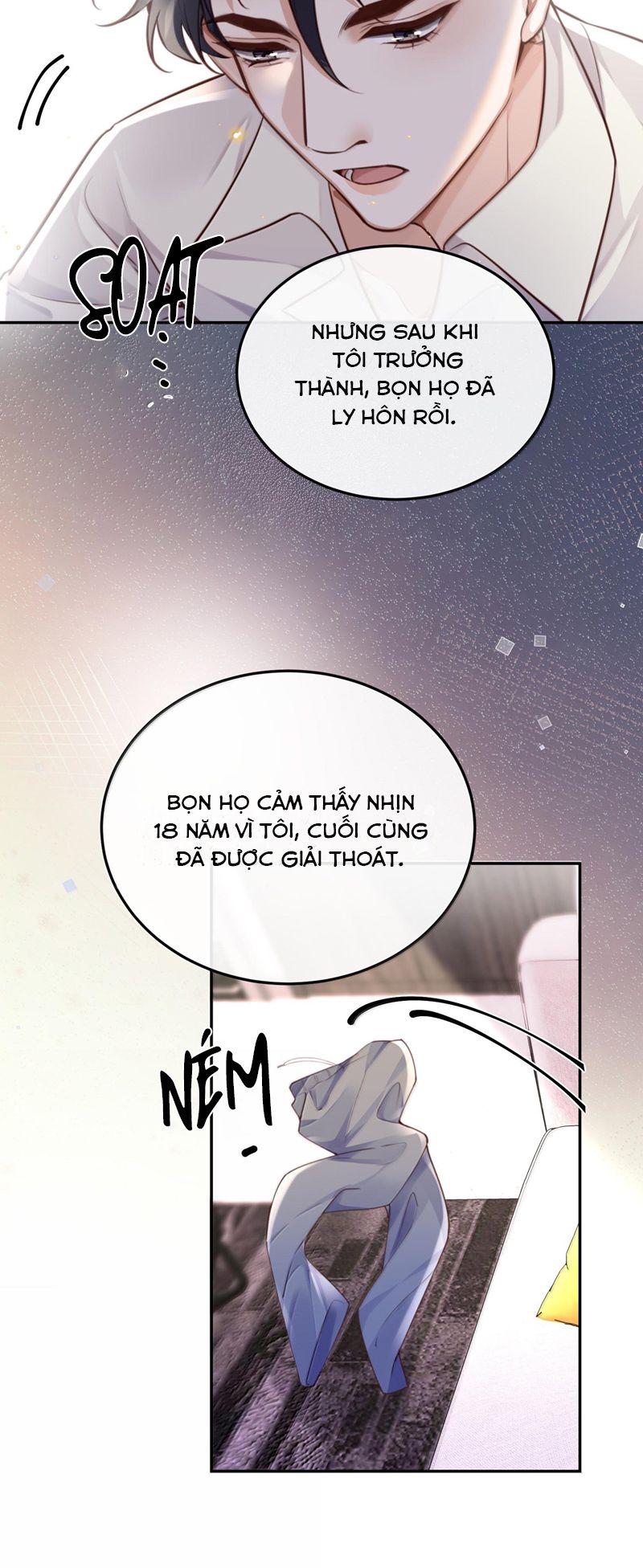 Tổng Tài Định Chế Tư Nhân Chap 96 - Trang 4