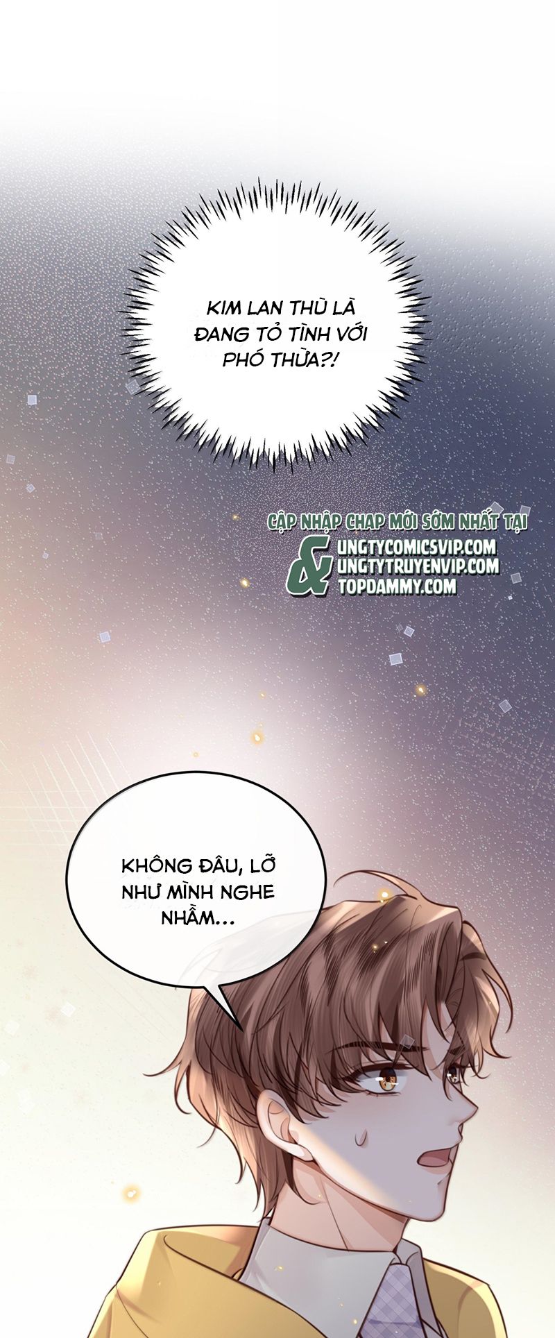 Tổng Tài Định Chế Tư Nhân Chap 96 - Trang 4