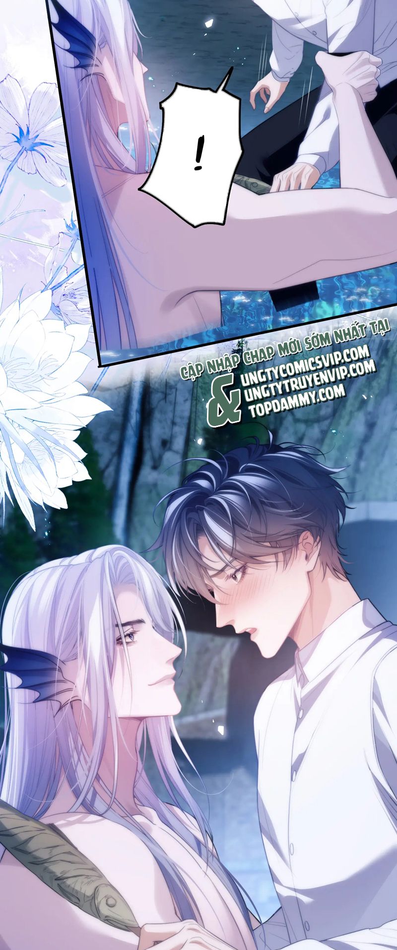 Desharow Nhân Ngư Chapter 50 - Trang 4