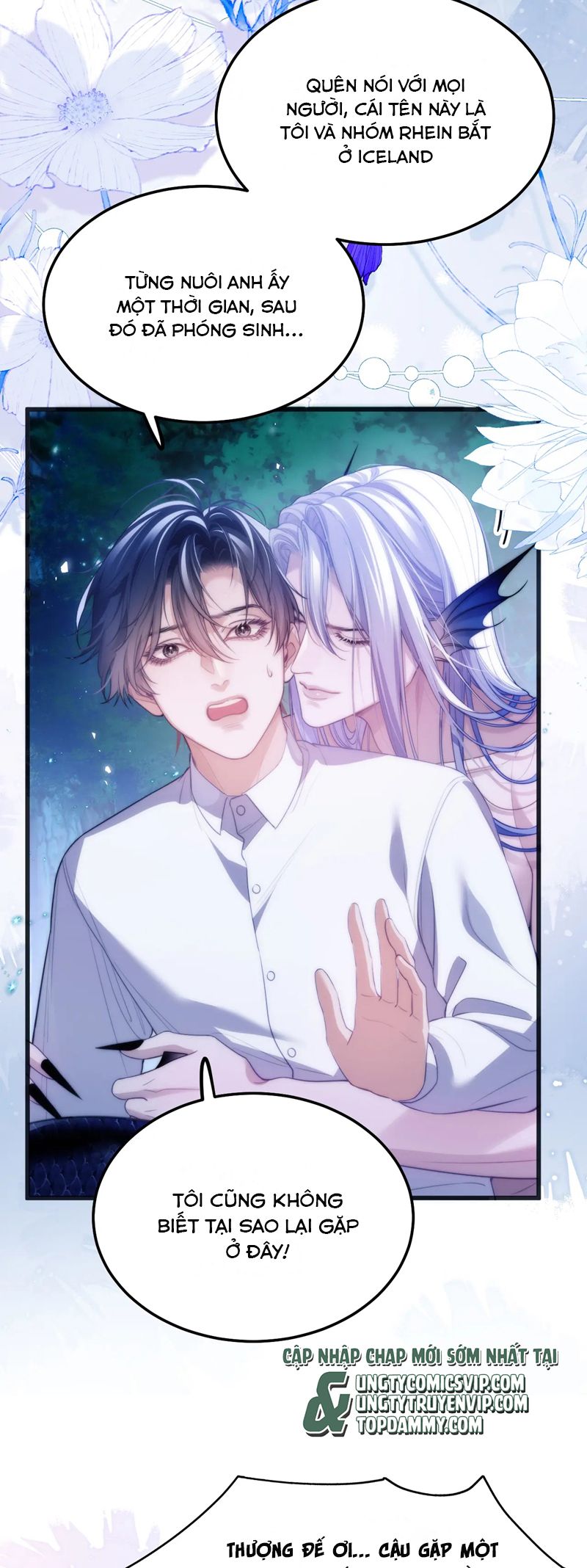 Desharow Nhân Ngư Chapter 50 - Trang 4