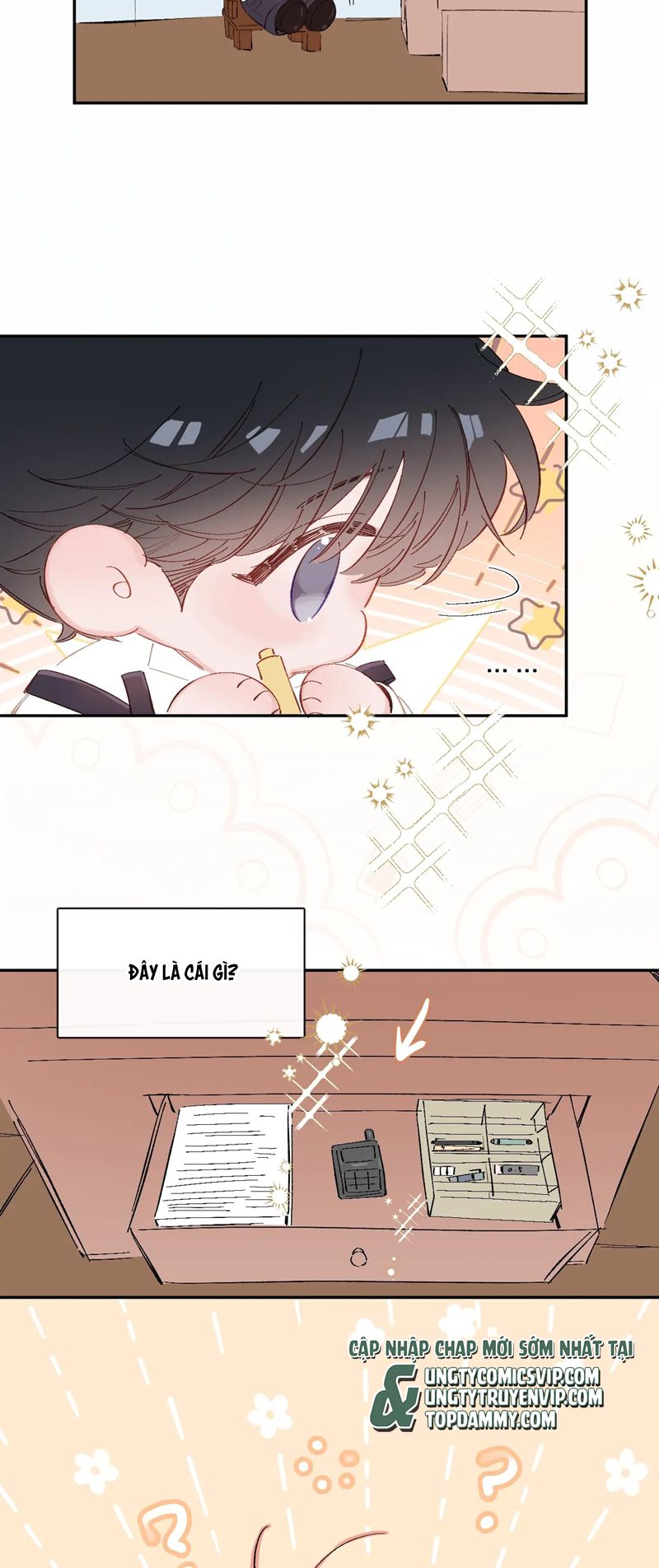 Cây Nấm Nhỏ Phiên Ngoại 1 - Next Văn Án