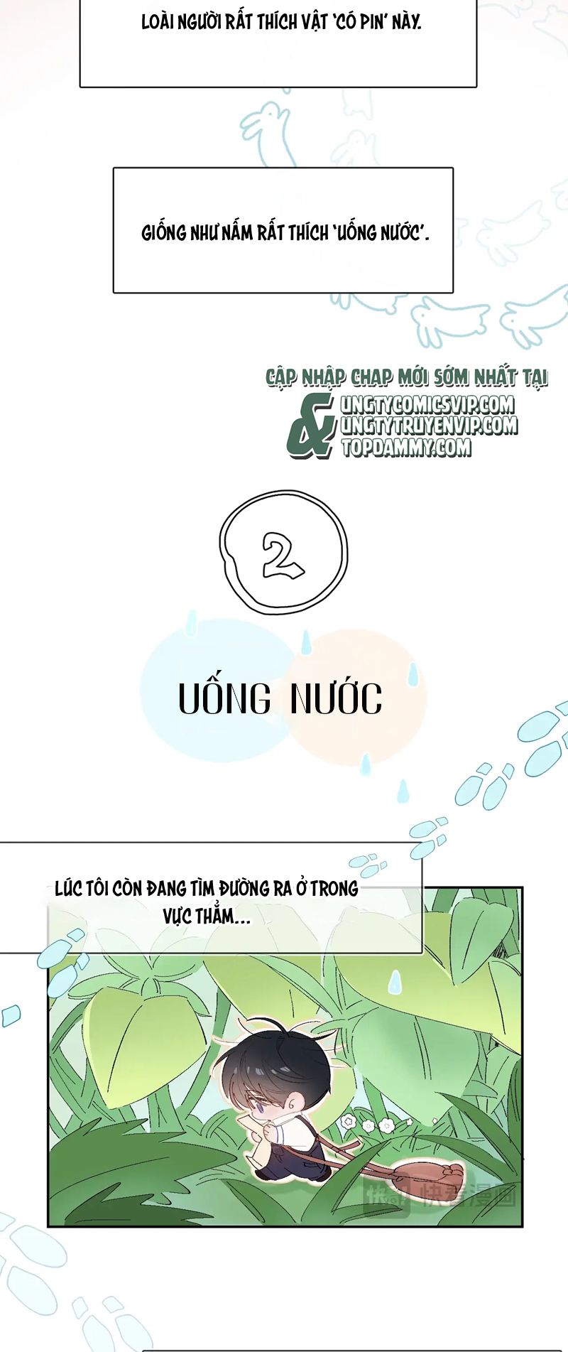 Cây Nấm Nhỏ Phiên Ngoại 1 - Next Văn Án